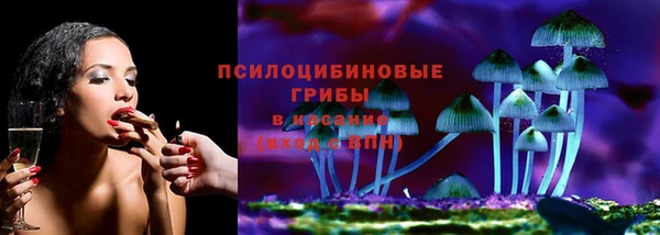 spice Беломорск