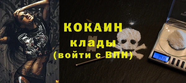 индика Богородск