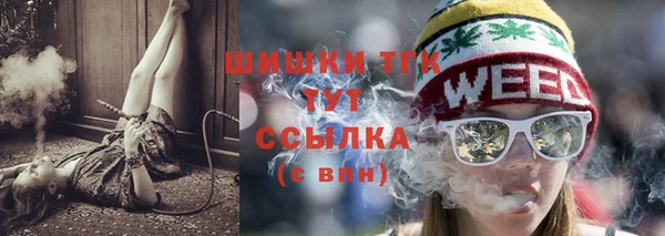 индика Богородск