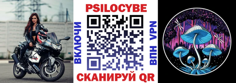 Псилоцибиновые грибы мицелий  где купить   Дигора 